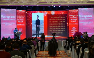 資產(chǎn)置換 撬動民營經(jīng)濟(jì)發(fā)展的新支點(diǎn)與商務(wù)信息咨詢的價值